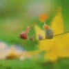 ️tiernos. mov 21