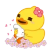 Cute Ducks Mov 22