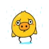 Little pig chick  .MOV 12