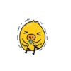 Little pig chick  .MOV 13