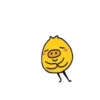 Little pig chick  .MOV 17