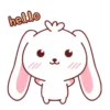 Bunny & Bear 28