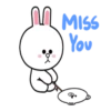Brown&Cony Cute Couple ️ 19