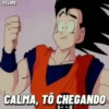 DRAGON BALL 29