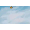 Winnie Pooh  .Mov 30