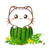 WEN Small Meow MOV#2,3,4,17 24
