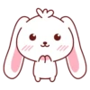 Bunny & Bear 30