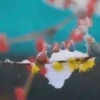 ️tiernos. mov 30