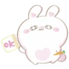 Mumi bunny 1 (Mov) 30