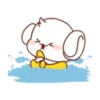 The bunny's daily life Mov 1