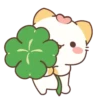 Kitty Chicken 5