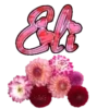 τυ Eท ƒlσr4 5
