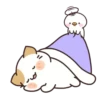 Kitty Chicken 6