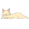 Gatito 6
