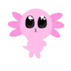 Random Cute Animals 6