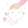 Random Cute Animals 7