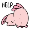 Random Cute Animals 9