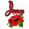 τυ Eท ƒlσr4 10