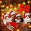 varios animé christmas  ️  ️ 8