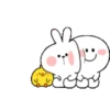 TENDER RABBIT 3 6