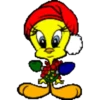 Navidad de Colores. mov 12