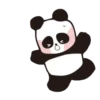 Random Cute Animals 3 8