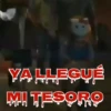 Tiernorífico Chucky llegó 9