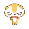 ️Meow orange  MOV 6