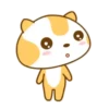 ️Meow orange  MOV 7