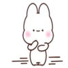 Bunny Sam   (Mov) 8
