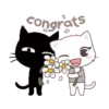 Vanilla&Pepper Cats 15