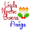 Lindanochebuen3 9