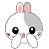 Rabbit .MOV 11
