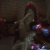 The Grinch Mov 10