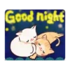 Cute cat in ️summer Mov 11