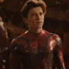 Spiderman   Tom 8