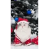 varios animé christmas  ️  ️ 12