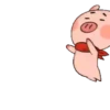 Yolo y Pig     (Mov 8