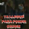 Tiernorífico Chucky llegó 12