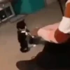Gatos más gatos 15