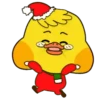 Duck Xmas    (Mov) 10