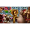 DIVERSION CON MADAGASCAR 14