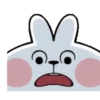 TENDER RABBIT 3 12