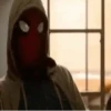 Spiderman   Tom 14