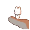 Bunny Sam   (Mov) 13