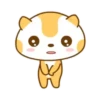 ️Meow orange  MOV 11
