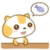 ️Meow orange  MOV 12