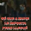Tiernorífico Chucky llegó 16