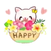 Cute cat in ️summer Mov 17