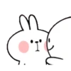 TENDER RABBIT 3 16